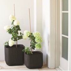 CURVER. Ghiveci imitatie lemn CUBE PLANTER L , mar..